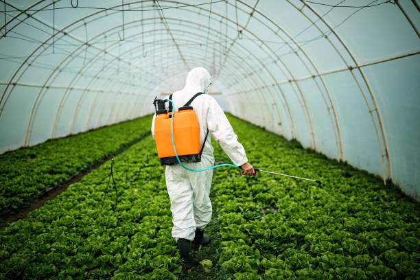 Best Best Pest Control Companies  in Covington, TN