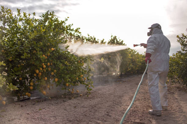 Best Insect Control  in Covington, TN