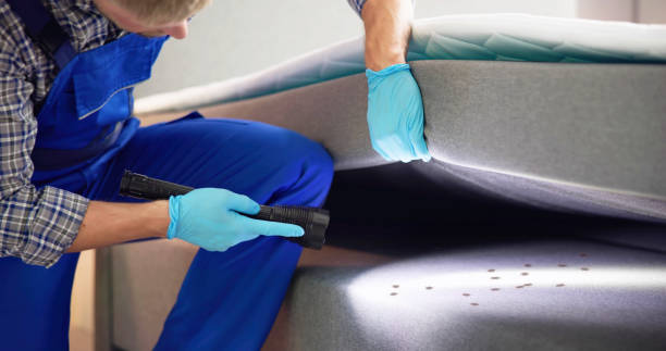 Best Bed Bug Extermination  in Covington, TN